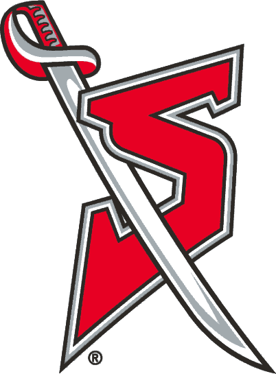 Buffalo Sabres 1996-1999 Alternate Logo DIY iron on transfer (heat transfer)